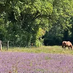 De La Haie Des Bois - 8p Plessé