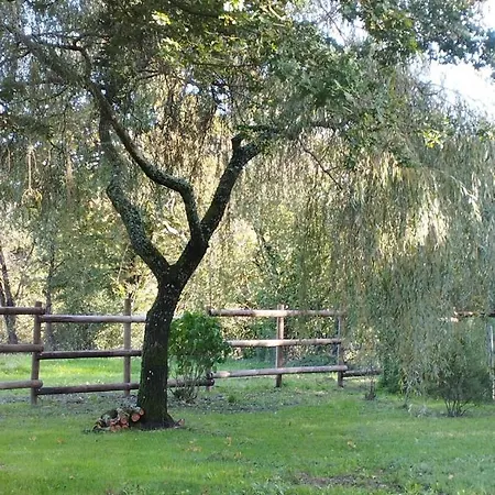 Prázdninový dům De La Haie Des Bois - 8p *