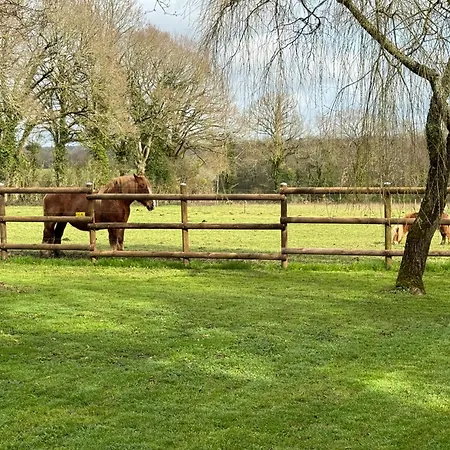 Prázdninový dům De La Haie Des Bois - 8p Plessé