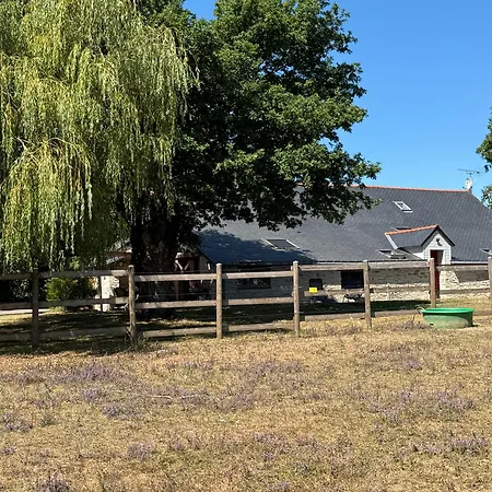 De La Haie Des Bois - 8p Сasa de vacaciones Plessé