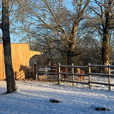 De La Haie Des Bois - 8p * Plessé