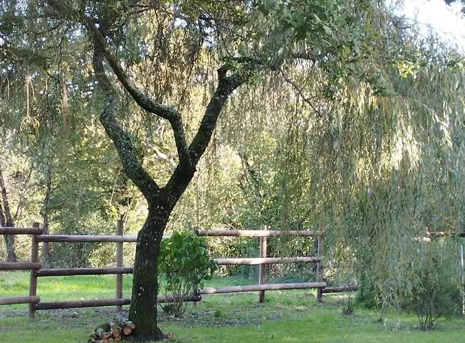 Dom wakacyjny De La Haie Des Bois - 8p *