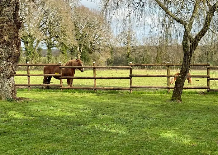 Dom wakacyjny De La Haie Des Bois - 8p Plessé