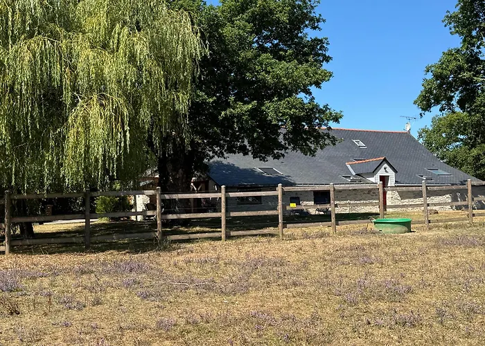 De La Haie Des Bois - 8p Dom wakacyjny Plessé