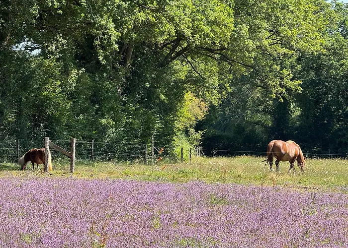De La Haie Des Bois - 8p Plessé