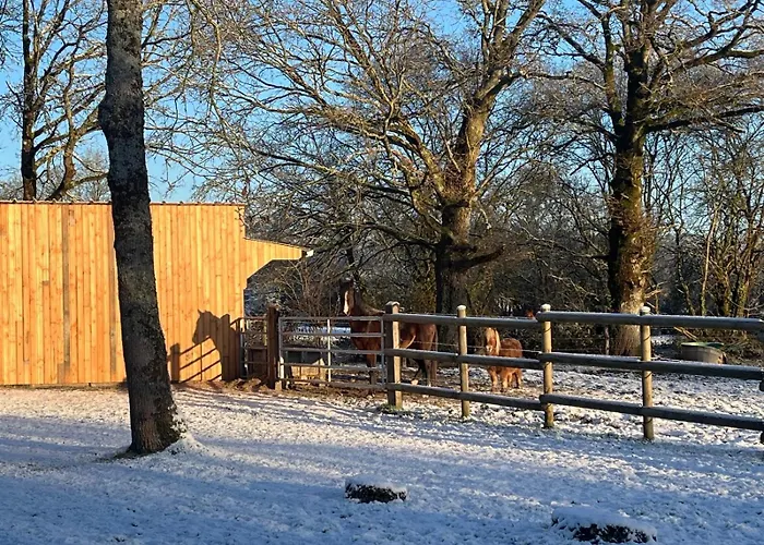 De La Haie Des Bois - 8p * Plessé