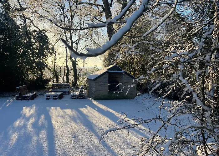 Dom wakacyjny De La Haie Des Bois - 8p *